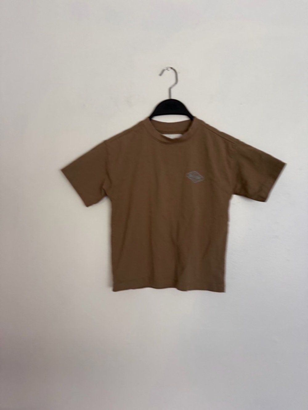 Zara Men's Short Sleeve Crewneck T-Shirt in Brown